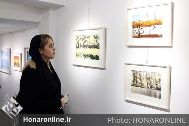 نمایشگاه آثار علیرضا چمک در گالری مژده 