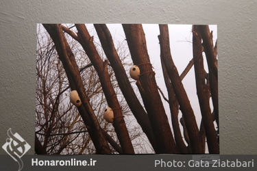 پایان کار پروژه جهانی هنر کوچ‌رو در موزه هنرهای معاصر تهران