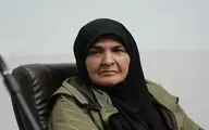  شاه حسینی، کارگردان 