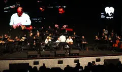  آتش زنده کامکارها در شب زمستانی تهران  