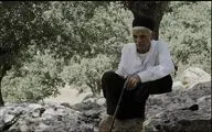تسلیت شالویی برای درگذشت هنرمند پیشکسوت موسیقی خوزستان
