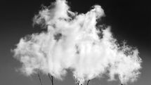 Photographer Nodeh taking “Poems of Silence” to France in praise of hope, peace