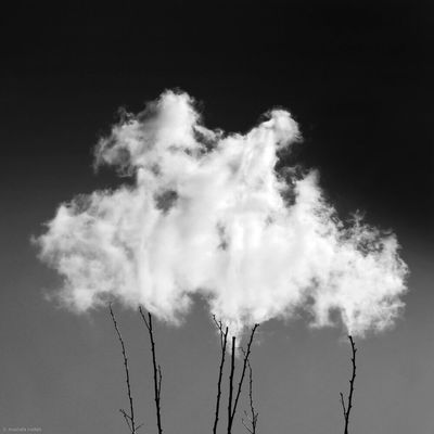 Photographer Nodeh taking “Poems of Silence” to France in praise of hope, peace  