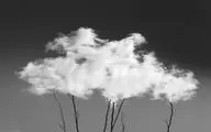 Photographer Nodeh taking “Poems of Silence” to France in praise of hope, peace  