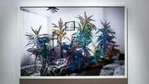 Pooneh Oshidari Painting Exhibition in Homa Gallery