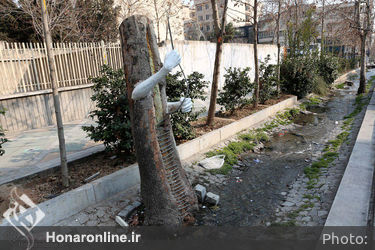 آماده سازی شهر برای استقبال از بهار -1