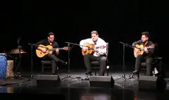 برگزاری کنسرت «فلامنکو» در فرهنگ سرای نیاوران