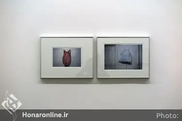 نمایشگاه گروهی عکس در گالری Ag