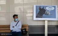 Iranian House of Cartoon lampoons 
