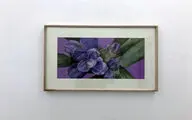 Soo Gallery Displays Paintings by Vanoosheh Kazemian