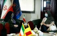 Belgian envoy highlights expansion of cultural ties with Iran