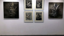 Maryam Asadi Art in View Negar Gallery