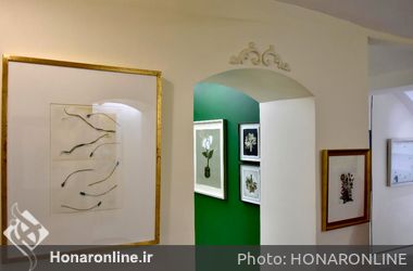 نمایشگاه گروهی نقاشی "گل/ تناقض ناب"در گالری این‌جا