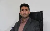 برگزاری نمایشگاه 