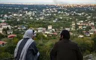 «جنگل پرتقال» را دریابید