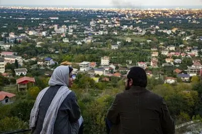 «جنگل پرتقال» را دریابید