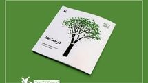 Bruno Munari’s Drawing a Tree Selling Like Hot Cakes in Iran