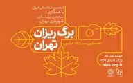 فراخوان نخستین مسابقه عکس 