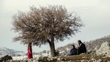 «مرزها نمی‌میرند» برنده جایزه ویژه هیئت داوران جشنواره فیلم اوهایوی آمریکا شد