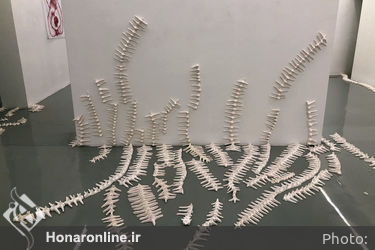 نمایشگاه گروهی با عنوان «بر مدار حلزون» در گالری سو