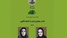 بررسی نما در معماری ایران از گذشته تاکنون/ مروری بر کارکردهای نما در بنا