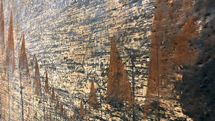 Visit Mohammad Salamatzadeh Paintings in Ev Art Gallery