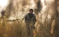 عذرخواهی مجموعه «پسران هور» از قوه قضاییه