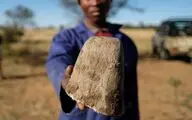 10 نما از وحشیگری به سبک انسان مدرن / این شاخ خدمت شما!