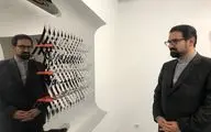بازدید معاون هنری از نقش برجسته‌های هندسی وزیری مقدم