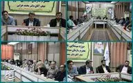 لزوم تقویت سینمای معرفت‌محور / بیش از ۵۰ درصد برنامه‌های سینمایی دولت سیزدهم به بار نشسته است