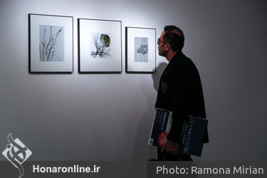 نمایشگاه آثار مینا نوری در گالری طراحان آزاد