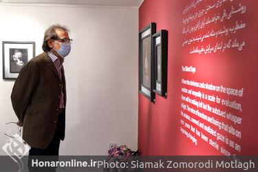 نمایشگاه آثار پیمان رحیمی‌زاده در گالری مژده