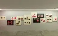 Sina Chupani's 