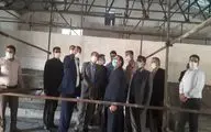 پردیس سینمایی مهمترین زیرساخت فرهنگی در سقز