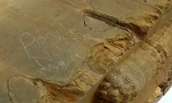 یادگاری تخت جمشید تایید شد