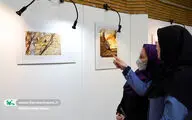 نمایش آثار برگزیده نخستین جشنواره ادبی هنری «عکس نگار»