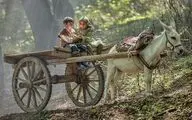 «روماک» در ژانر کودک و نوجوان کلید خورد/ قصه‌ ای کودکانه در دهه 50