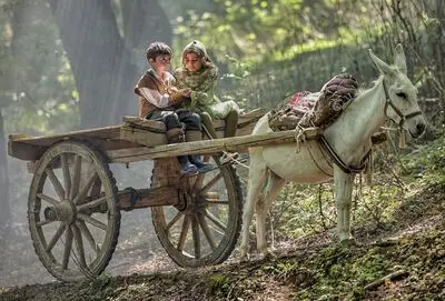 «روماک» در ژانر کودک و نوجوان کلید خورد/ قصه‌ ای کودکانه در دهه 50