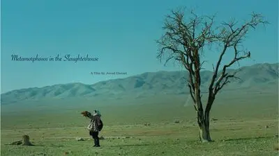 "Metamorphosis" wins award in Mexican festival