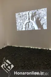 نمایشگاه نقاشی شیوا کاکاوندی در گالری اعتماد