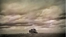 London gallery to display photos by Iranian filmmakers