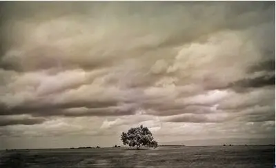 London gallery to display photos by Iranian filmmakers