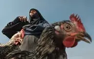 Kyrgyzstan Ala Archa exhibit honors Iranian photographers
