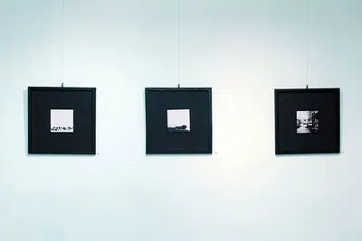 نمایشگاه عکس‌های امیر اصغرزاده در گالری شکوه