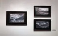 Contemporary Group Art Show in Laleh Gallery