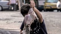 Hessam Hamidi named best director at Rio short festival