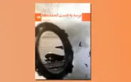 «برسد به دست گمشده‌ها»؛ روایتی از دوری آدم‌های متاثر از جنگ