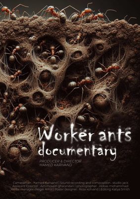 دورخیز «مورچه‌ها» برای ورود به ساندنس آمریکا 