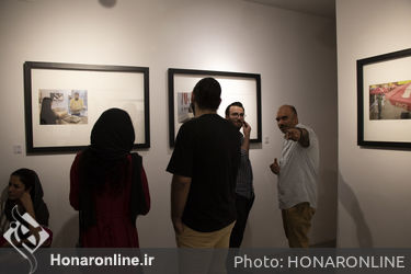 نمایشگاه عکس و چیدمان کجواج‌ها در گالری سایه