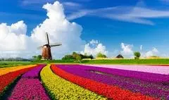 نمایشگاه گروهی هنرهای تجسمی و صنایع‌دستی ایران 
و هلند